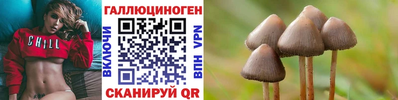 Купить где  Брянск  Псилоцибиновые грибы Cubensis 